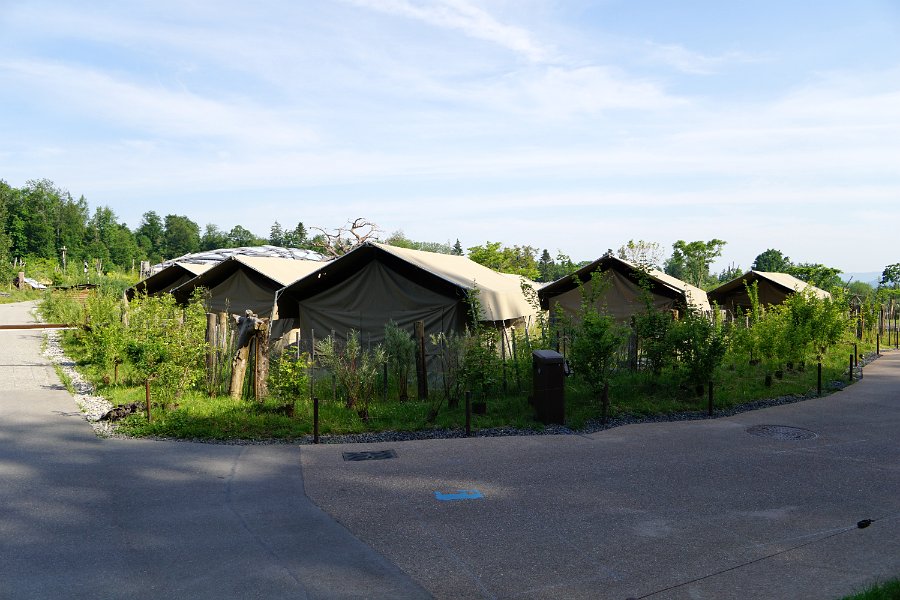 DSC05835