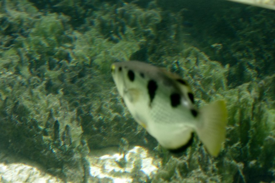 P1160614
