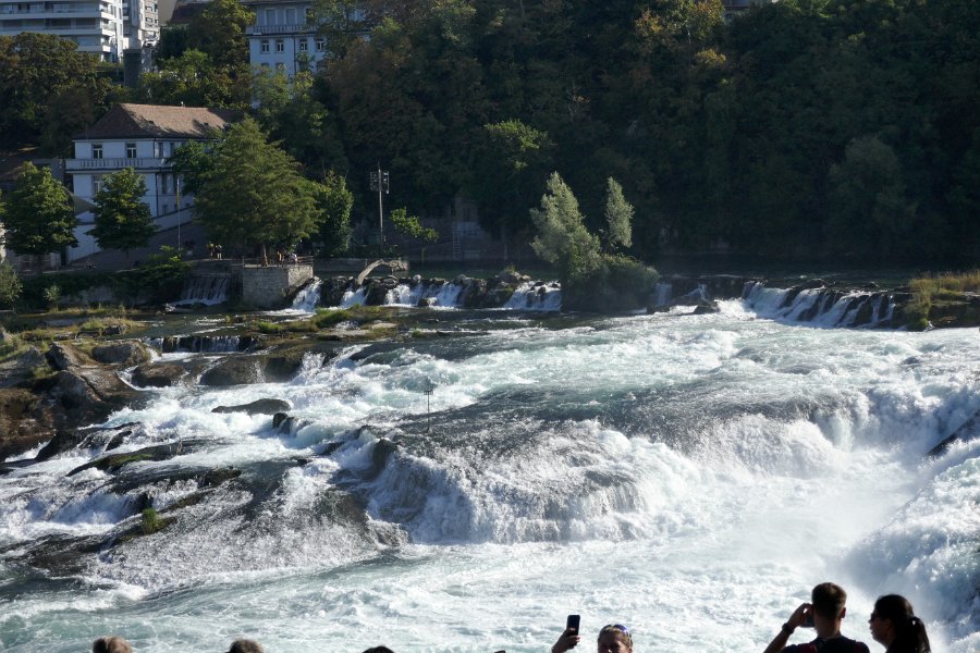 IMG 20230819 092751